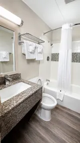 Americas Best Value Inn Knoxville Downtown North - Badeværelse