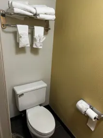 Sleep Inn Tinley Park I-80 near Amphitheatre-Convention Center - Salle de bain