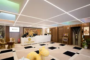 Hotel Vinflora Residency- Nr LV Prasad EYE Hospital, Jubilee Hills, Restaurant & Parking - Hall