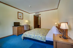 Gasthaus Zum Schwan - Room
