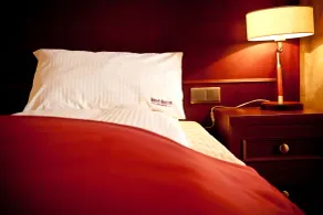 Hotel Rodan - Habitación