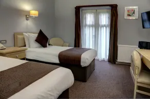 The Regency Hotel - Habitación