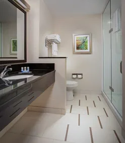 Fairfield Inn & Suites by Marriott Cut Off-Galliano - Værelse