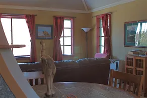 Out of the Wild Chalet - Living area