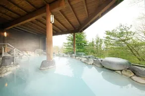 FOURTREAT plus NASUKOGEN - Spa