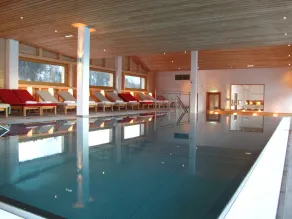 SPA Hotel Erzherzog Johann - Pool