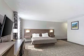 Quality Inn Ripley - Værelse
