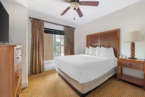 Hilton Vacation Club Aqua Sol Orlando West - Room