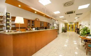 Hotel Dvorak - Reception