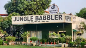Jungle Babbler Tourist Resort - Receção