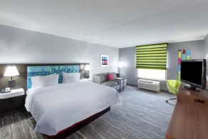 Hampton Inn & Suites Houston-Bush Intercontinental Aprt - Chambre
