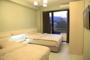 Full Comfort Apartment at Chavchavadze - Habitación