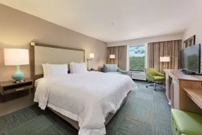 Hampton Inn Niceville - Eglin Air Force Base - Chambre