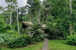 Pacuare Lodge by Böëna - Udsigt fra værelset