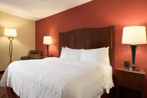 Hampton Inn Battle Creek - Chambre