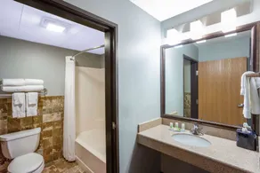AmericInn by Wyndham Madison South - Salle de bain