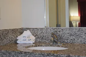 Value Inn - Livonia - Bad