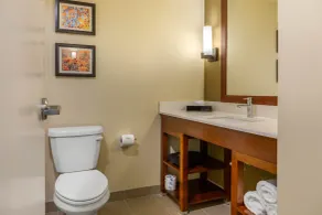 Comfort Inn & Suites Gap Amish Country - Salle de bain
