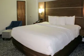 Comfort Inn & Suites Near Lake Guntersville - Værelse
