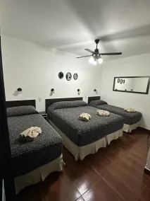 Hotel Quito - Room