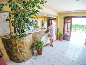 Vanessa Hotel - Réception