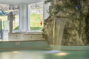 Hotel Alpino Wellness & Spa - Piscina