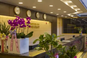Hyundai Elliot Hotel and Resort - Réception