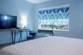 Tru by Hilton Lafayette River Ranch - Chambre