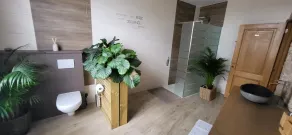 Room-terrace of the Friends of Visé - Bagno