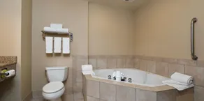 Holiday Inn Express Hotel & Suites Cherry Hills by IHG - Zimmer