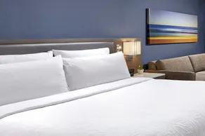 Hilton Garden Inn San Diego Mission Valley Stadium - Chambre