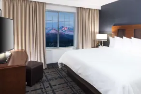 Embassy Suites by Hilton Anchorage - Room