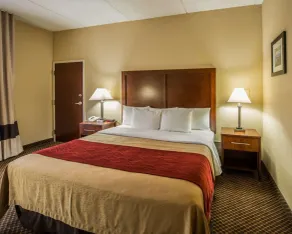 Comfort Inn & Suites Morganton South - Chambre