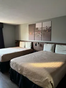Plymouth Suites - Rom