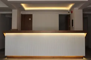 Marvelous Sarıgerme - Recepción
