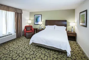 Hilton Garden Inn Jackson/Flowood - Chambre