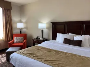 Radisson Hotel River Falls - Habitación