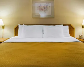Econo Lodge Mifflintown - Chambre
