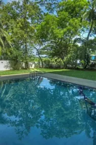 Rain Tree by Oak Ray - Pool