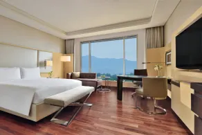 JW Marriott Hotel Chandigarh - View from room