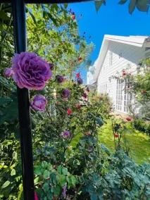 HomeTa Homestay - Zimmer