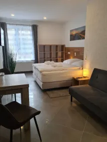 WellandHome Aalen - XXL Deluxe Apartment - Room