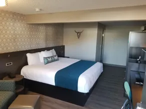The Hotel Y - Chambre