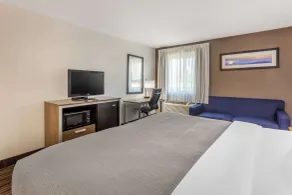 Quality Inn Asheboro South - Chambre