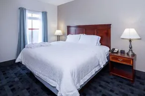 Hampton Inn Lawrenceville Duluth - Chambre