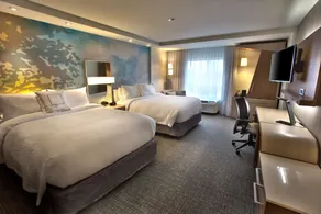 Courtyard by Marriott Atlanta Kennesaw - Chambre