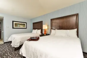 Hampton Inn Corning/Painted Post - Chambre