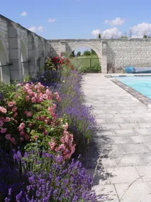 gîte du manoir des roches - Pool