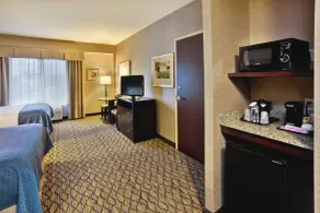 Holiday Inn Detroit Metro Airport by IHG - Chambre
