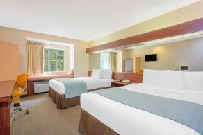 Microtel Inn & Suites by Wyndham Kannapolis/Concord - Chambre